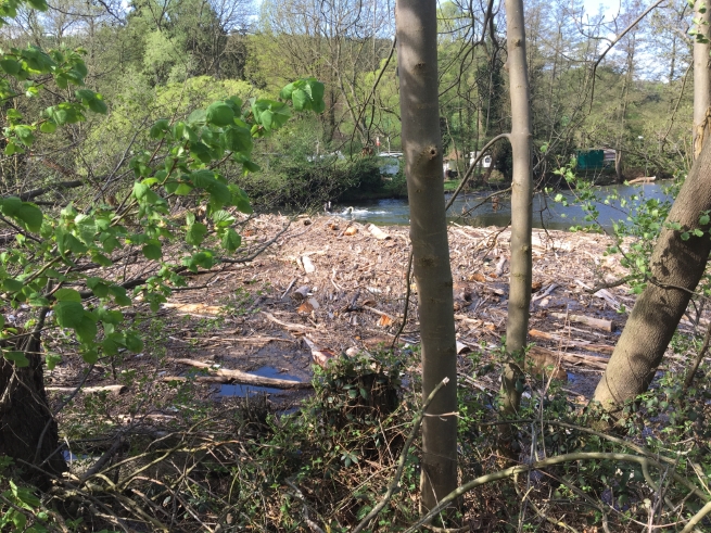 Schwemmgut am Untermaubacher Wehr

