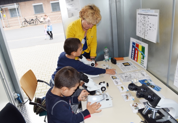 Durch die Mikroskope öffnen sich neugierigen Kinderaugen Einblicke in die Welt der Kleinlebewesen im Gewässer.