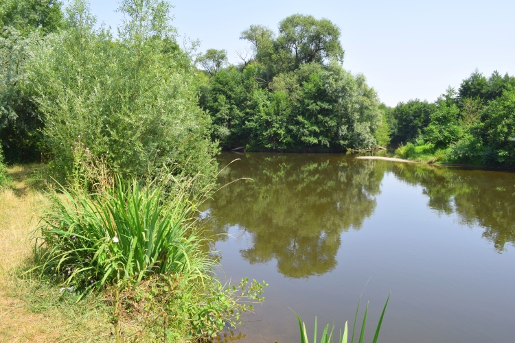 Die renaturierte Rur bei Körrenzig, dem Endpunkt der geführten Radtour